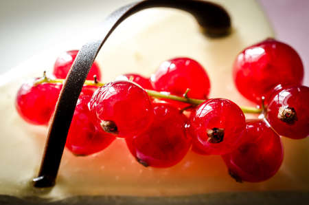 redcurrant cheesecakeの写真素材