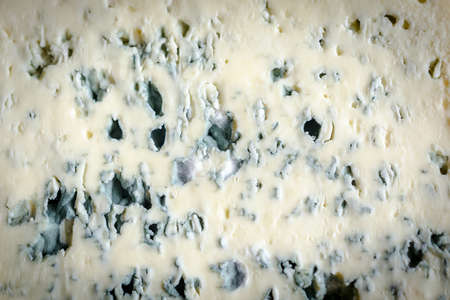 Blue cheese background