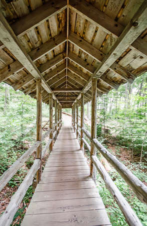 Wooden bridge