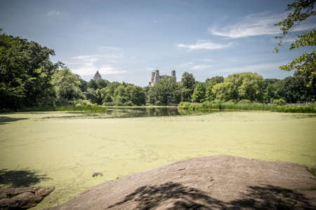 Turtle Pond, Central Park NYCの写真素材