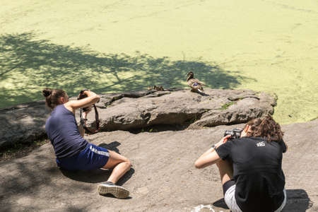 NEW YORK CITY - JULY 10: Girls take pictures of ducks near Turtle Pond in Central Park on July 10, 2015 in New York. Central Park is an urban park in the central part of the borough of Manhattan.のeditorial素材