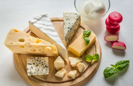 Various types of cheeseの写真素材