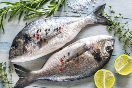 Dorade Royale Fishの写真素材