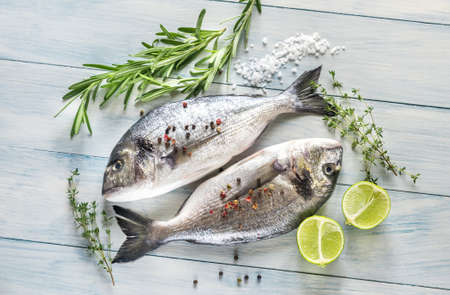 Dorade Royale Fishの写真素材