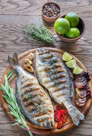 Grilled Dorade Royale Fishの写真素材