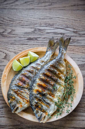 Grilled Dorade Royale Fishの写真素材