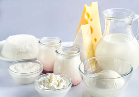 Assortment of dairy productsの写真素材