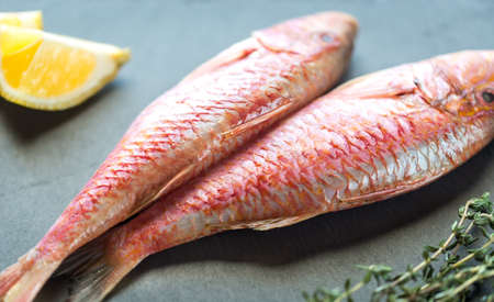 Raw red mullet with ingredientsの写真素材