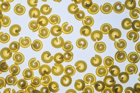 Raw cappelletti pastaの写真素材