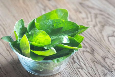 Glass bowl of fresh spinachの写真素材