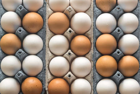 Chicken eggs in the cell egg tray
