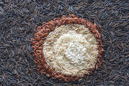 Different kinds of rice: top viewの写真素材