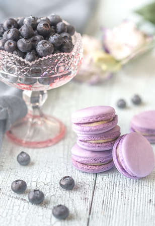 Macarons with fresh blueberriesの写真素材