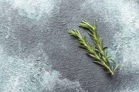 Fresh rosemary on navy backgroundの写真素材