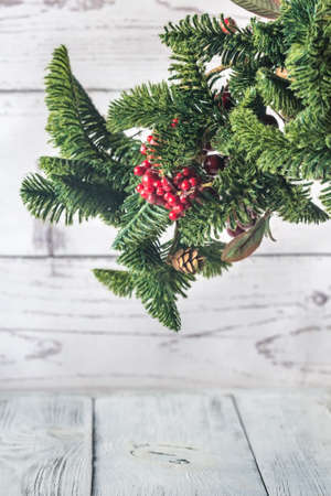 Christmas tree branch on the white background