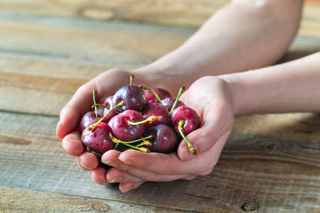Woman's hands holding fresh cherries on the wooden backgroundの写真素材