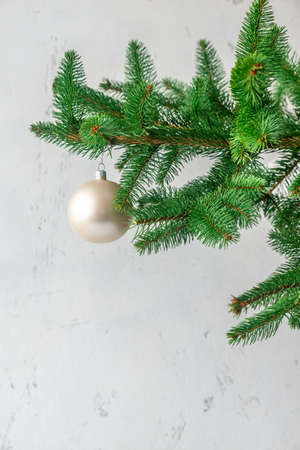 Christmas tree branch with decorationの写真素材