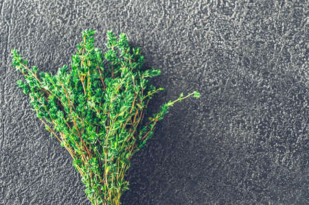 Fresh thyme on the darkの写真素材