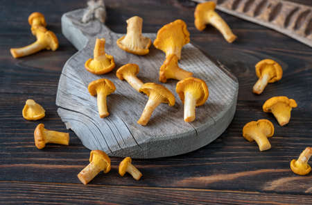 Fresh chanterelle mushrooms on wooden board