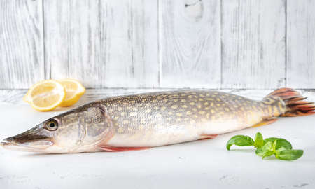 Raw northern spike on white wooden background