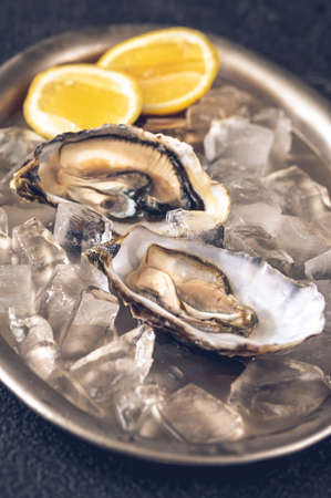Opened raw oysters with fresh lemon wedges on the silver serving trayの写真素材