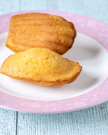 Madeleines - French small sponge cakes on the plateの写真素材