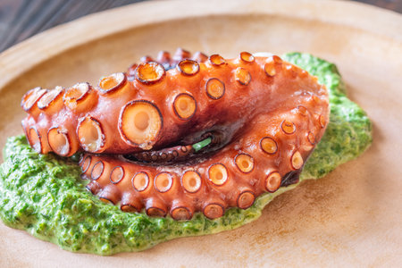 Tender roasted octopus paired with warm creamy spinach, elegantly plated in rustic styleの写真素材