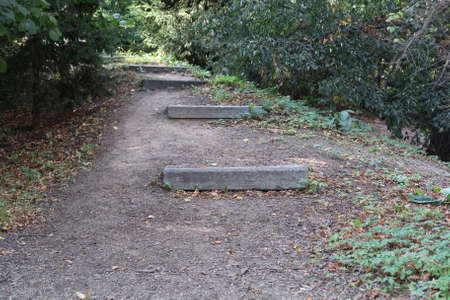 Garden path leading up the hill among tall green bushesの写真素材