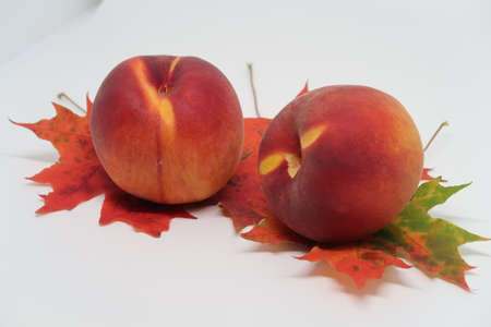 Two peaches lie on red maple leaves, autumnの写真素材