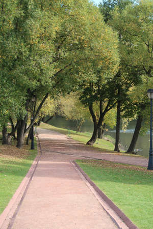 Asphalt footpath near the lake among tall trees, autumn, parkの写真素材