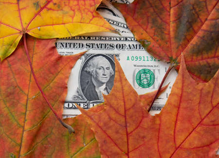 American banknotes covered with red maple leaves