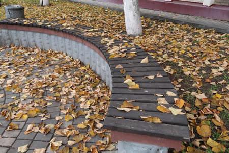Curved bench covered with fallen leaves in a city park, autumnの写真素材