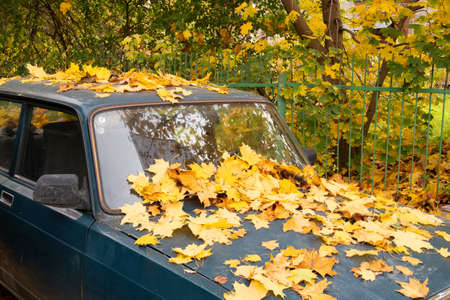 Car covered with yellow maple leaves, autumnの写真素材