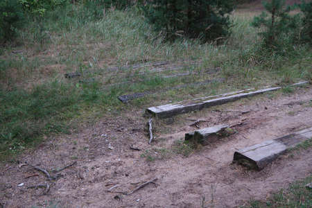 Wooden sleepers in the forest from the old dismantled railwayの写真素材