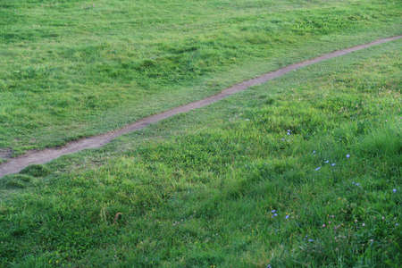 Wet after rain straight path for cyclists and pedestrians in the field, background