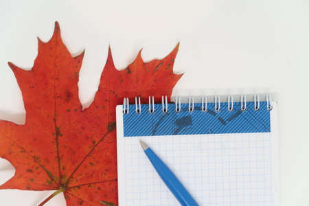 Notebook and pen lie on a red maple leaf, copywriting