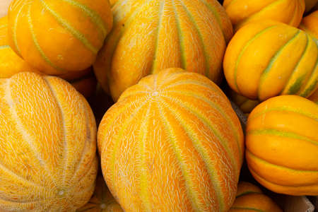 Yellow and ripe Central Asian melons for saleの写真素材