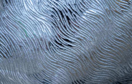 Glass surface with frosted stripes, shiny winter backgroundの写真素材
