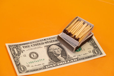 A full matchbox lies on the one American dollar banknote and symbolizes the world financial crisis