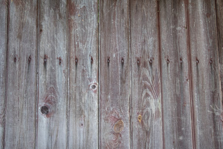 Rotted fence boards with traces of burgundy paint, knots and screw capsの写真素材