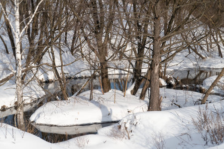 Quiet forest river with overgrown snow-covered banks, backgroundの写真素材