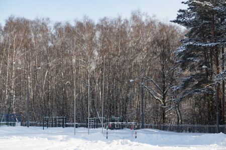 Snow-covered school playground with sports equipment on the background of a transparent birch grove