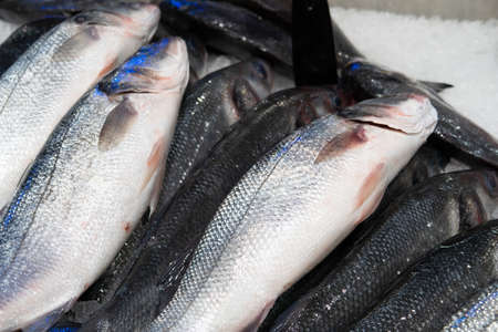 Chilled sea fish, glitter and texture of scales, shiny fish background