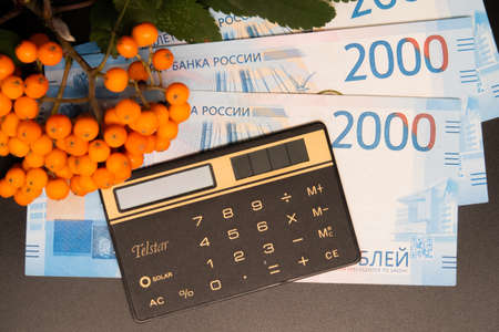 A bunch of mountain ash and a calculator lie on Russian banknotes, summer, summing up financial...