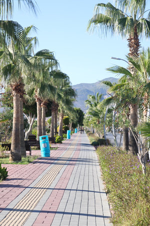 Straight walking path with palm trees along the Alanya waterfront, November 2021.の写真素材