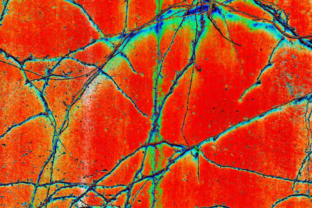 Thin branches on a concrete wall, changed colors, bright background.の写真素材