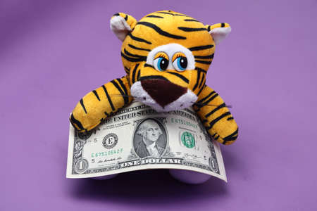 New Year tiger cub on a purple isolated background. The tiger is a very beautiful and graceful animal. Keeps a gift in the sapsの写真素材