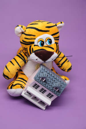 New Year tiger cub on a purple isolated background. The tiger is a very beautiful and graceful animal. Keeps a gift in the sapsの写真素材