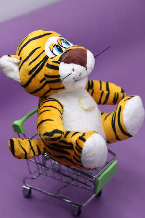 New Year tiger cub on a purple isolated background. The tiger is a very beautiful and graceful animal. Keeps a gift in the sapsの写真素材