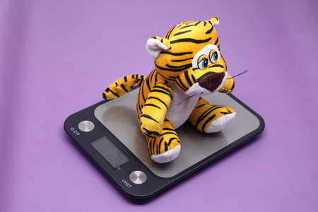 A toy tiger on an electronic kitchen scale controls its weightの写真素材